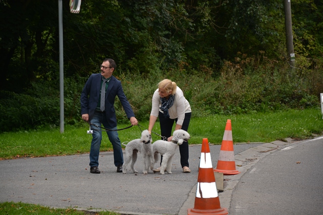 13-9-2015 Brabantse Lotuspijl 2015 (431)