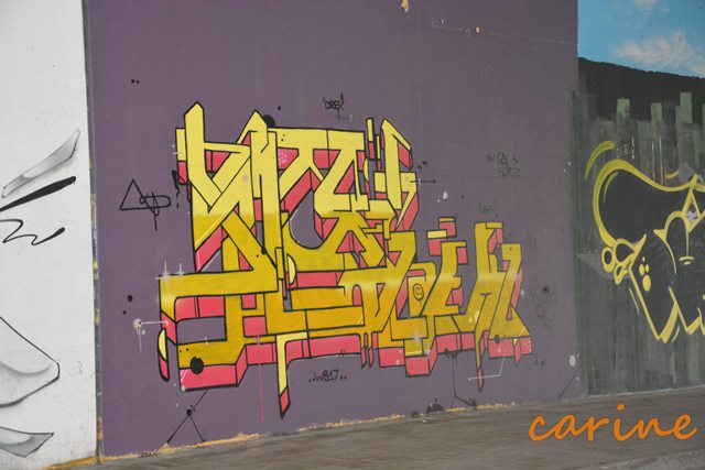 26-6-2016 Lotus on Tour (222)