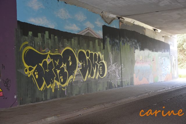 26-6-2016 Lotus on Tour (229)