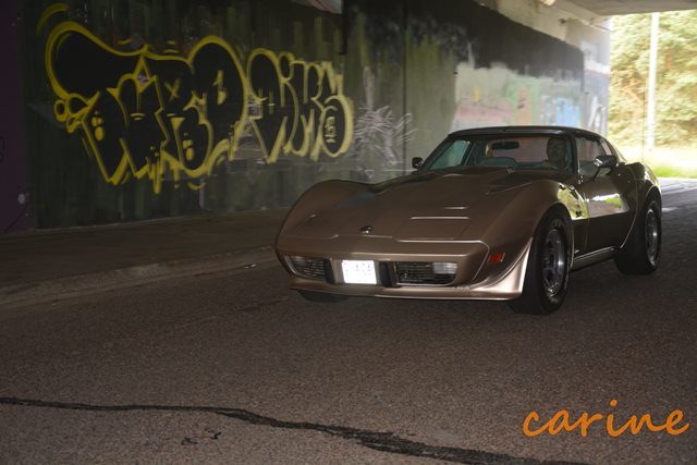 26-6-2016 Lotus on Tour (232)
