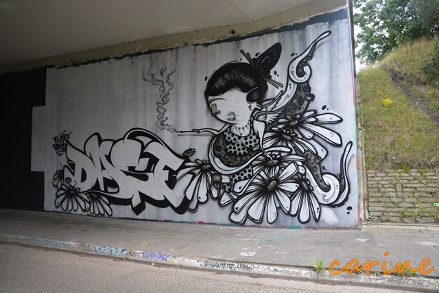 26-6-2016 Lotus on Tour (271)