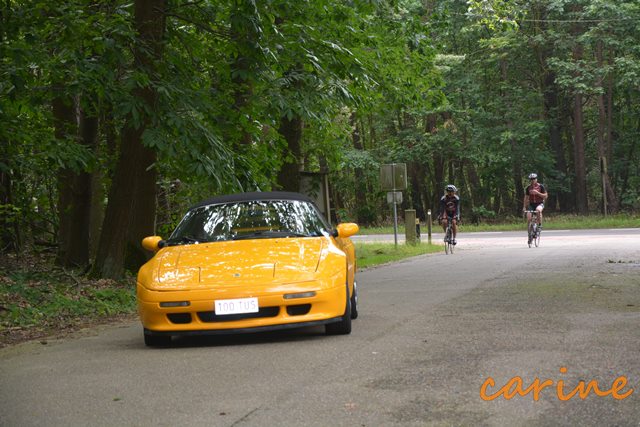 26-6-2016 Lotus on Tour (278)