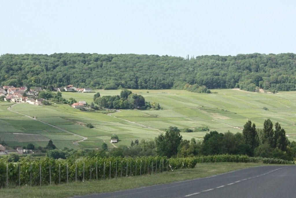 ctlb en champagne 2014 232
