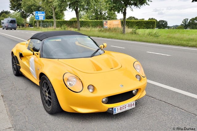 Flanders lotus short trip 39